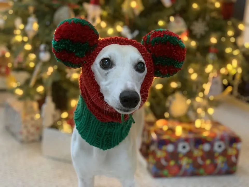 Christmas Pompom Hat