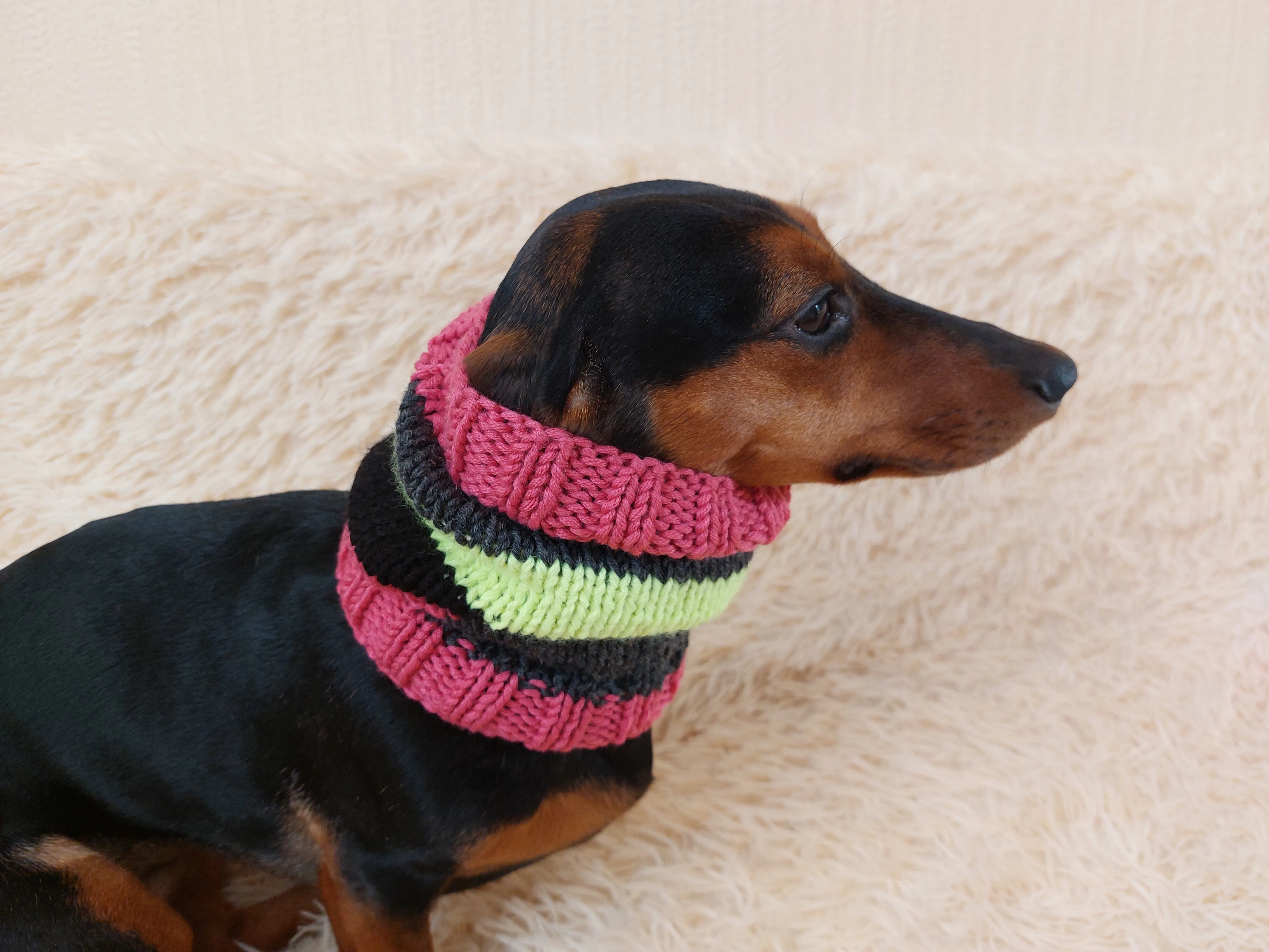 Dachshund snood handmade stripes, scarf snood hat for dogs