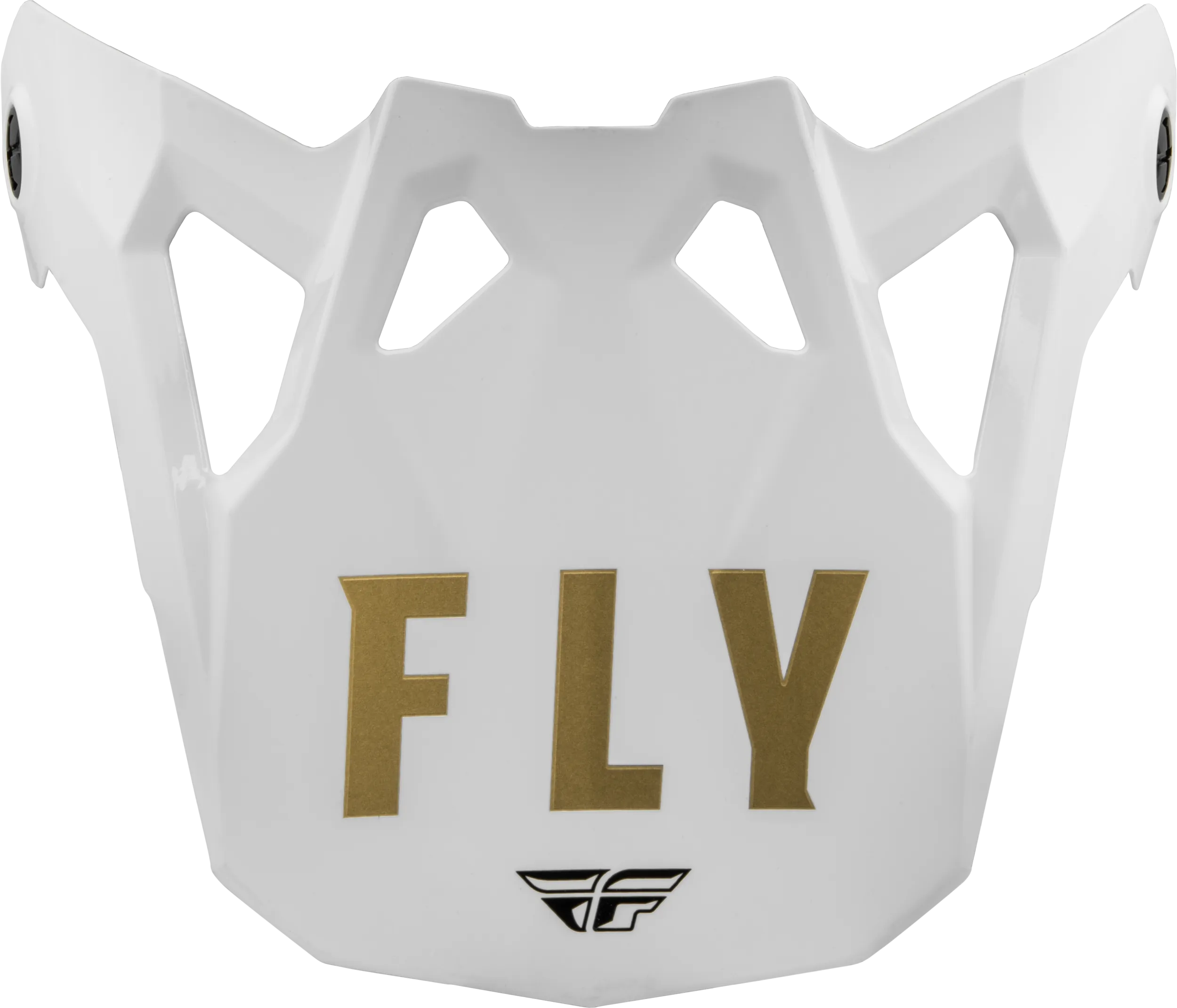 FORMULA CP SLANT VISOR BLACK/WHITE/GOLD YM-SM