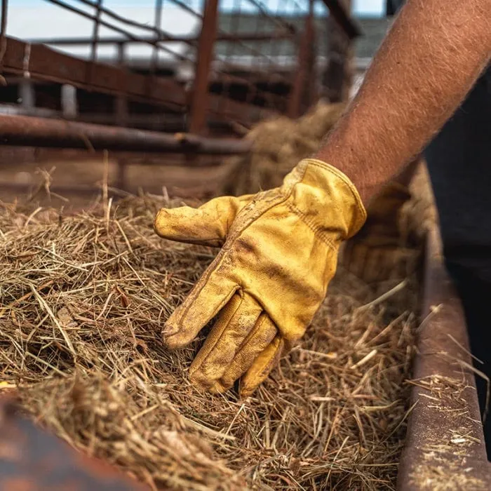 Kinco Deerskin Leather Gloves