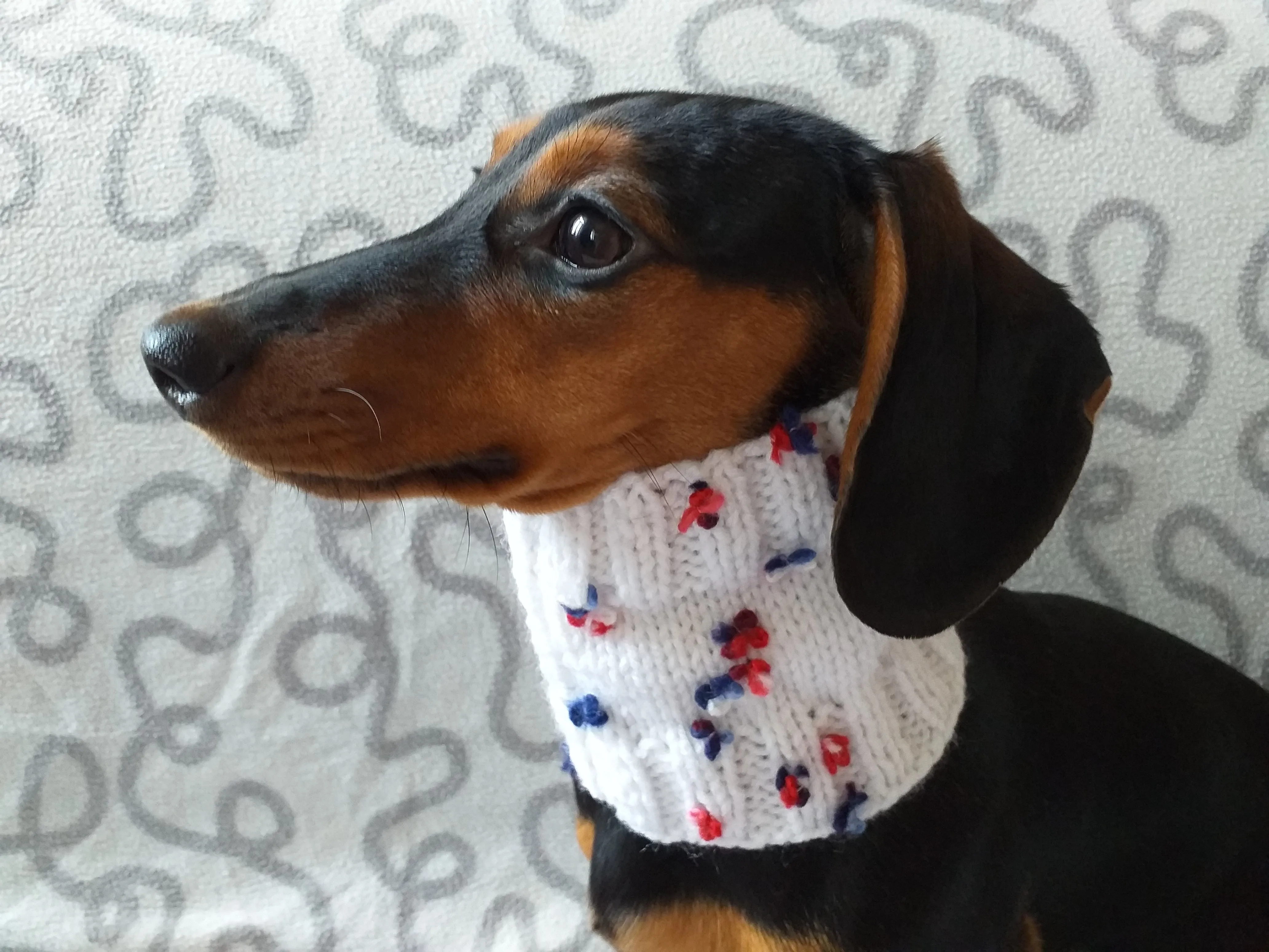 Scarf snood for dog with butterflies and flowers, scarf snood for small dogs, snood for dachshund, scarf for dachshund