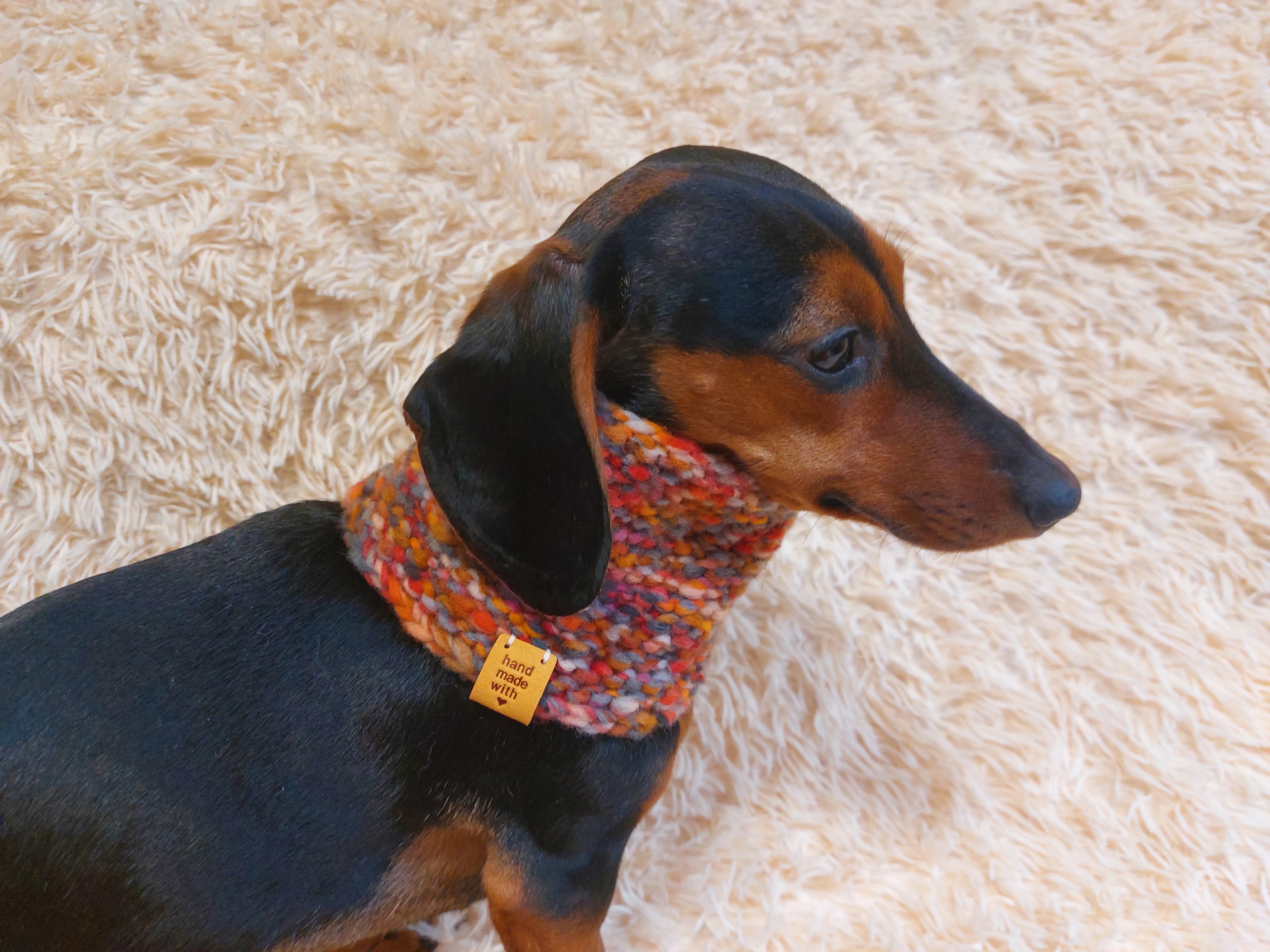 Snood wool winter for dogs, warm neck dog wool snood, dachshund clothes winter snood scarf